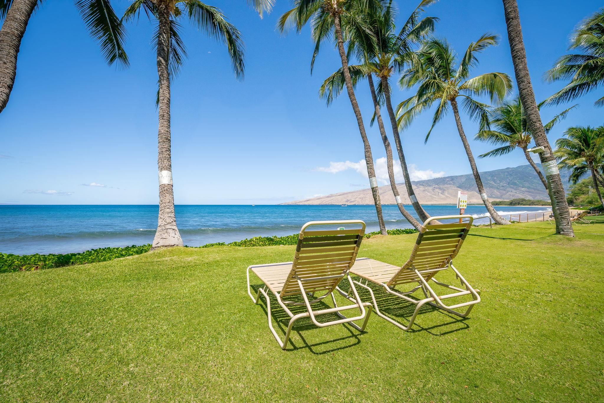 Maui Property Image