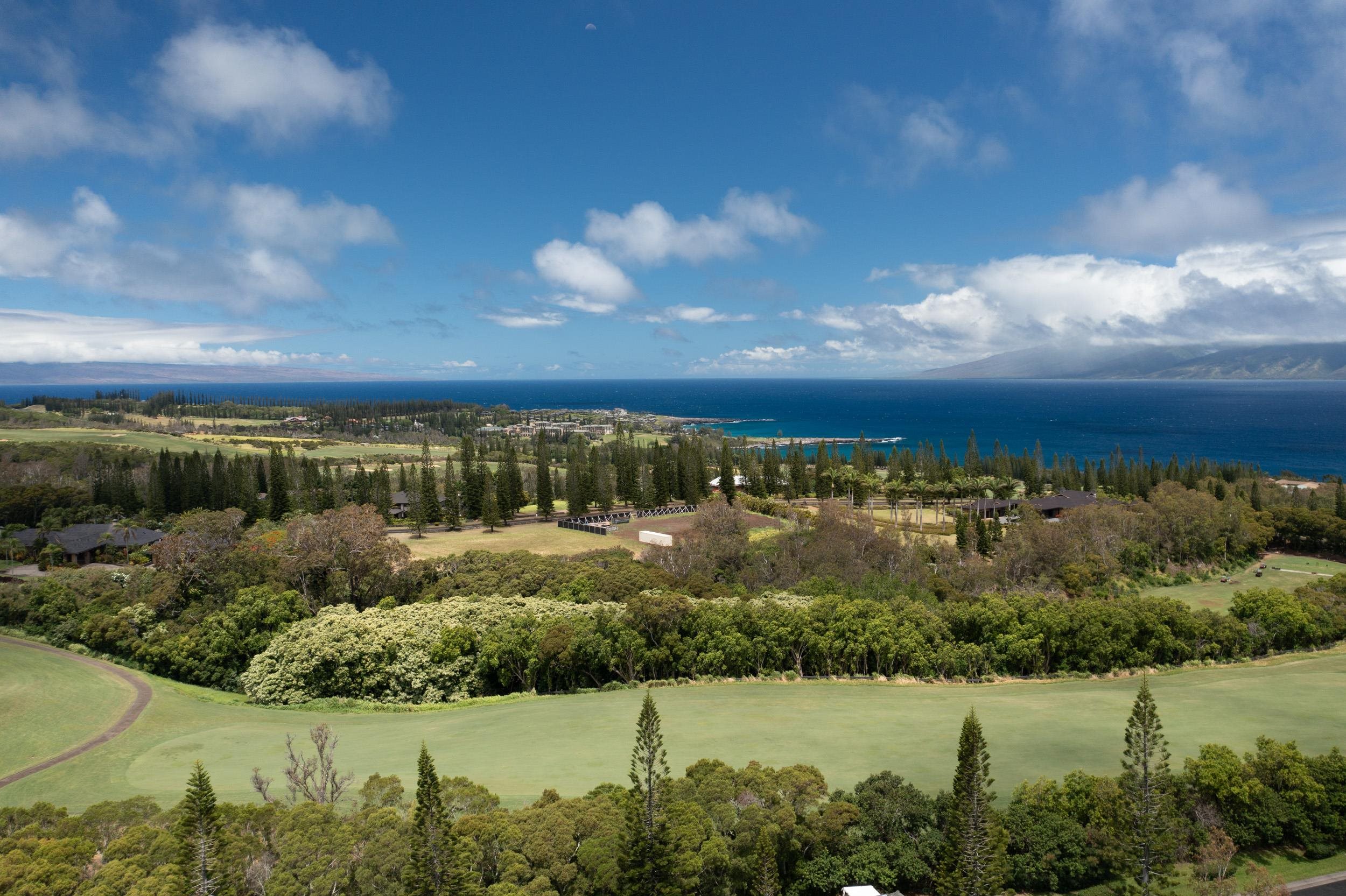 Maui Property Image