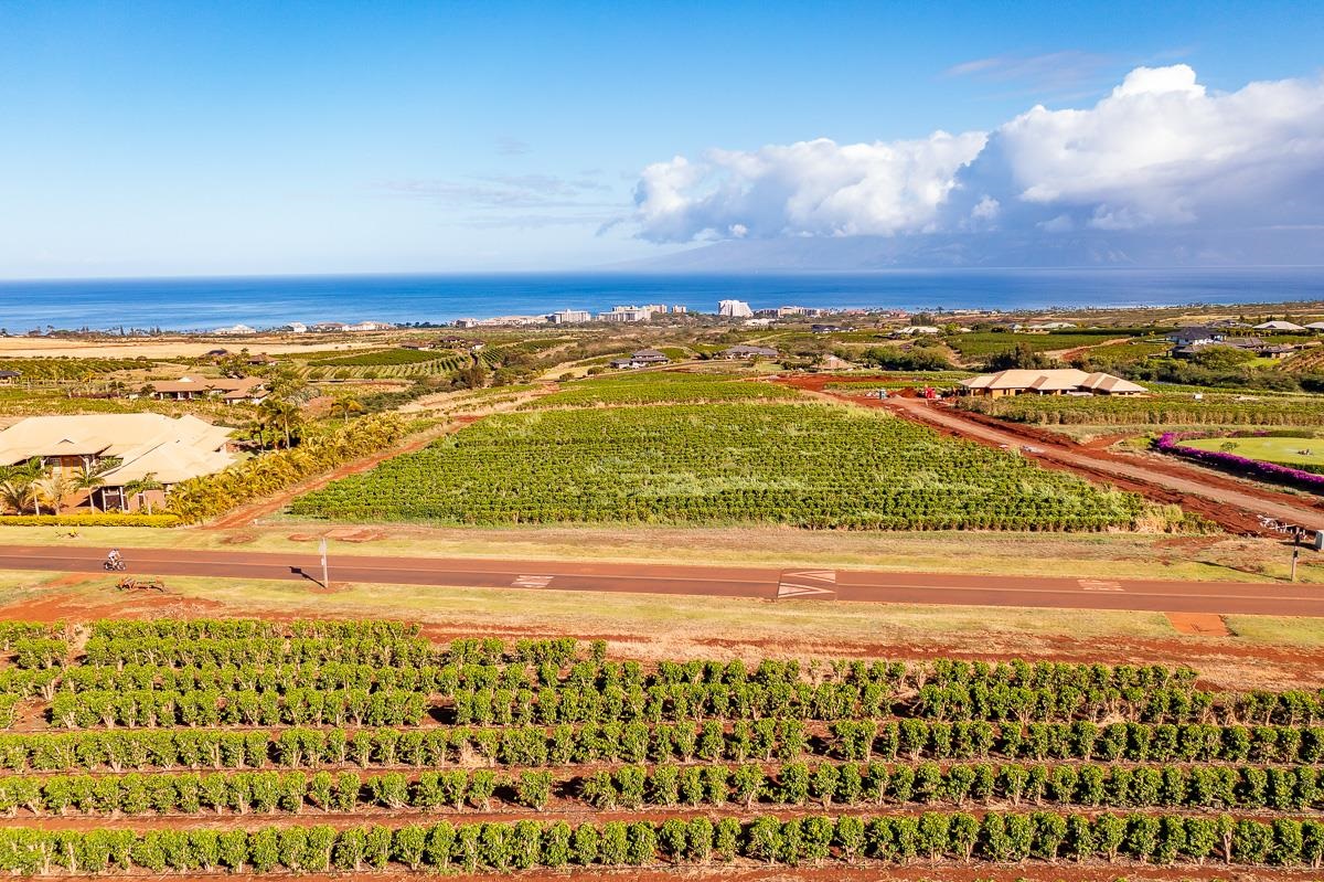 Maui Property Image