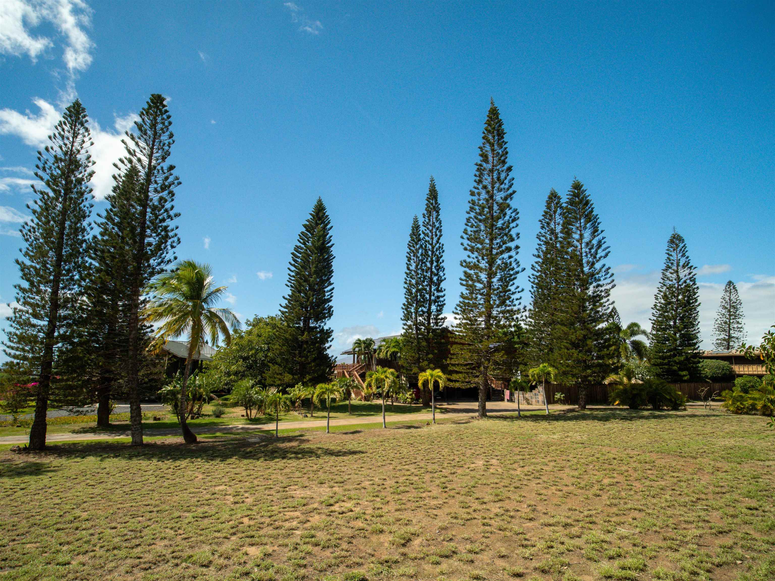 Maui Property Image