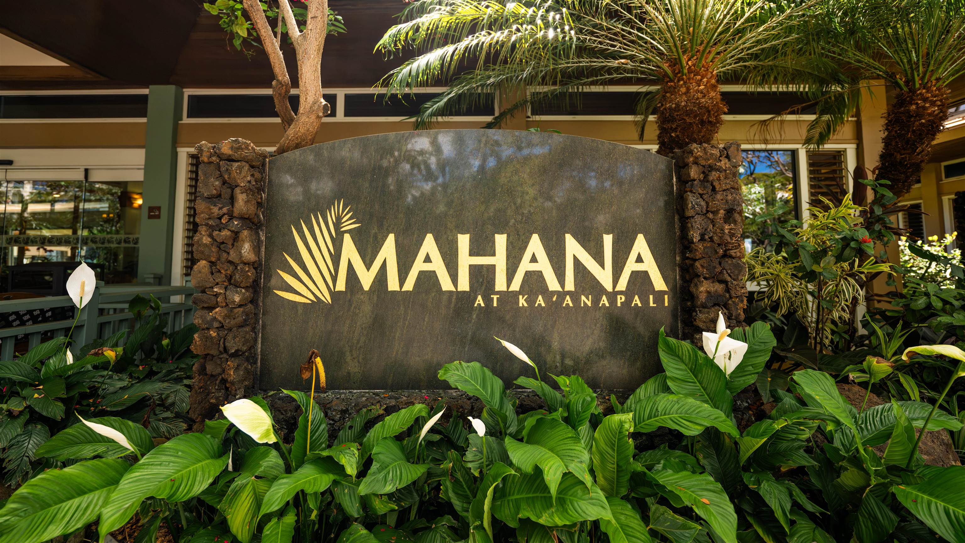 Maui Property Image