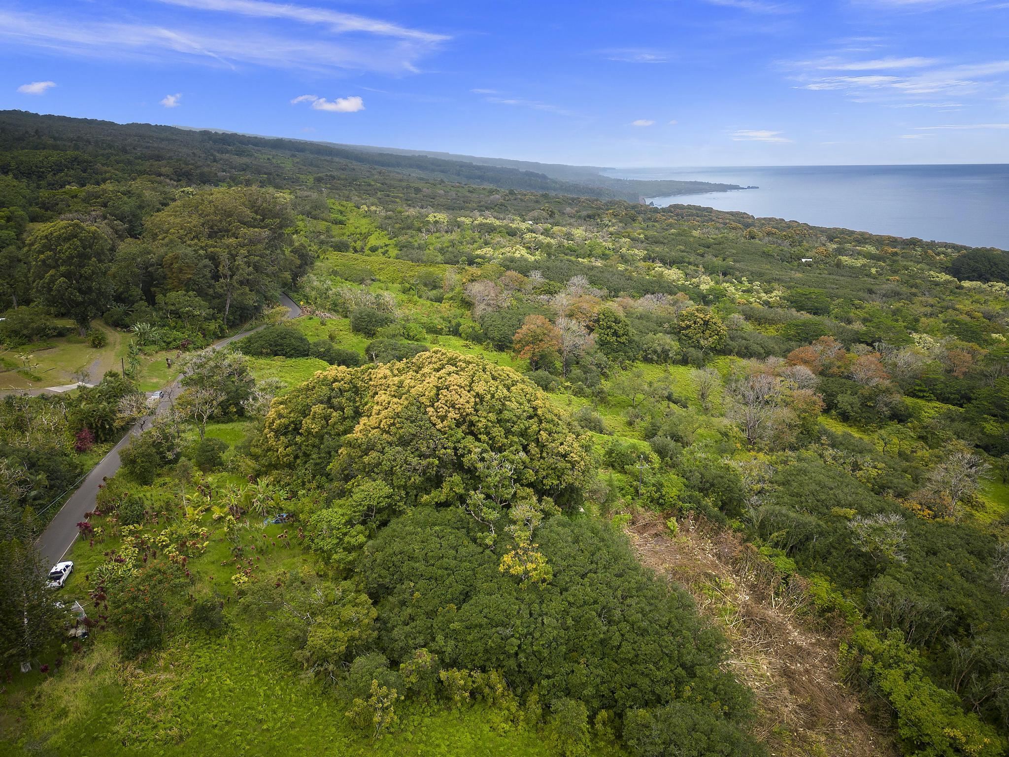 Maui Property Image